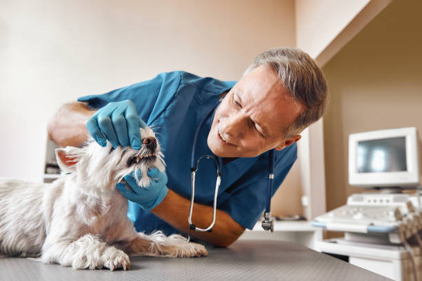  Kure Beach, NC Emergency Dentist Pros